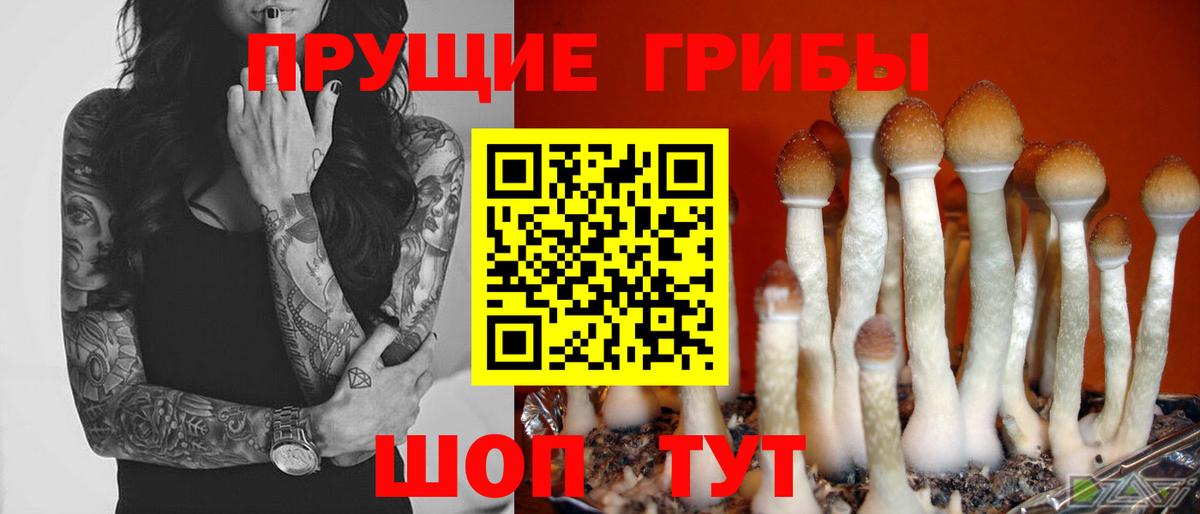Галлюциногенные грибы прущие грибы Владимир