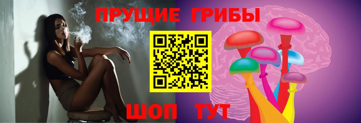 Галлюциногенные грибы Psilocybine cubensis  Вход с VPN  Владимир 